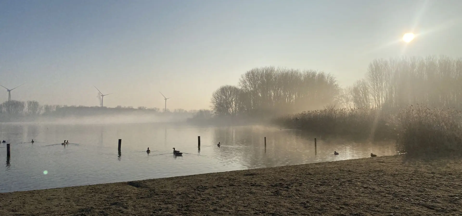 Bild00001