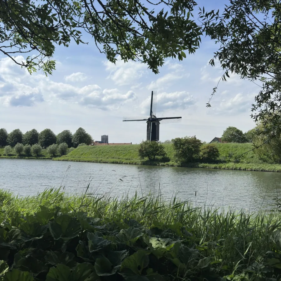 Umgebung Campingplatz de Meeuw Brielle 4