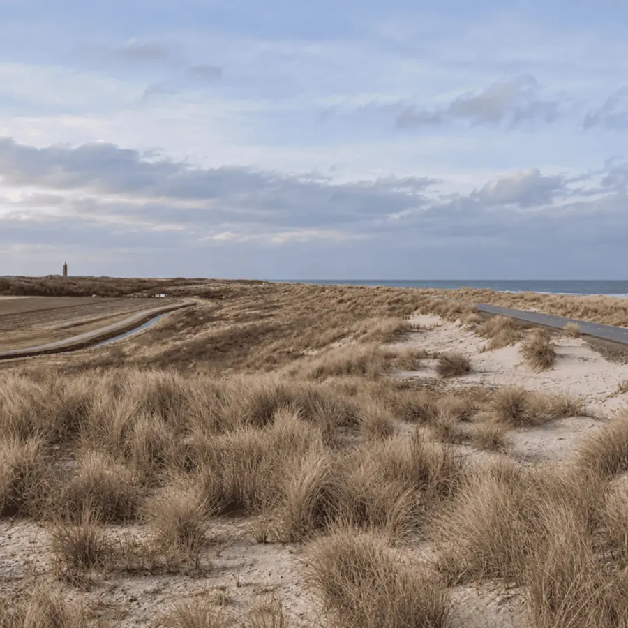 Dünen im Winter