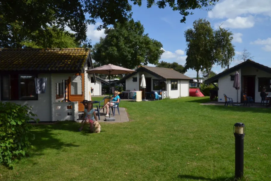 Campingplatz Brielle Hütte mit Hund 1