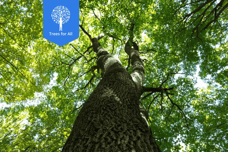 Website Fotos 2400x1600